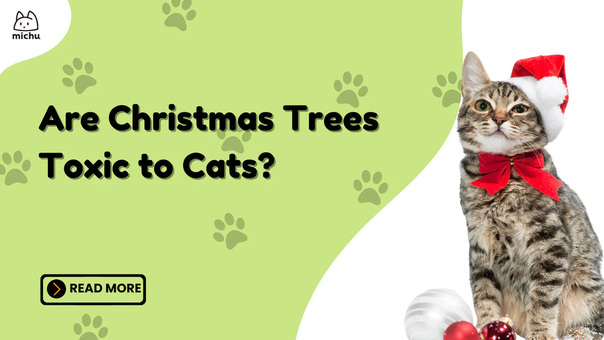are-christmas-trees-toxic-to-cats-michupet