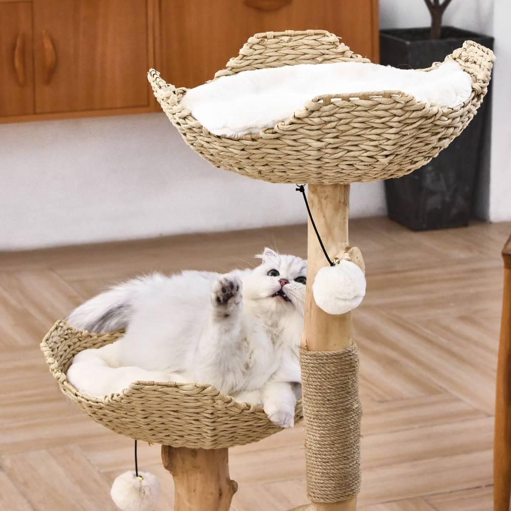 Do cats need a cat tree? - MichuPet