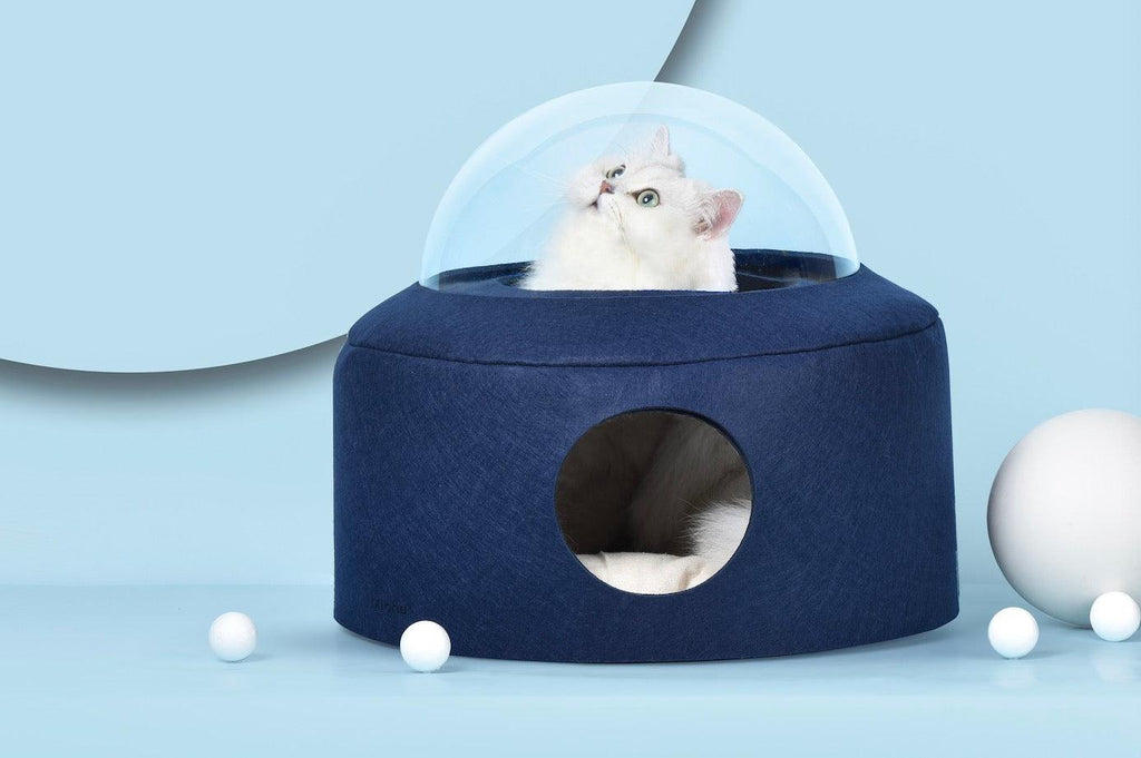 How to choose cat bed? - MichuPet