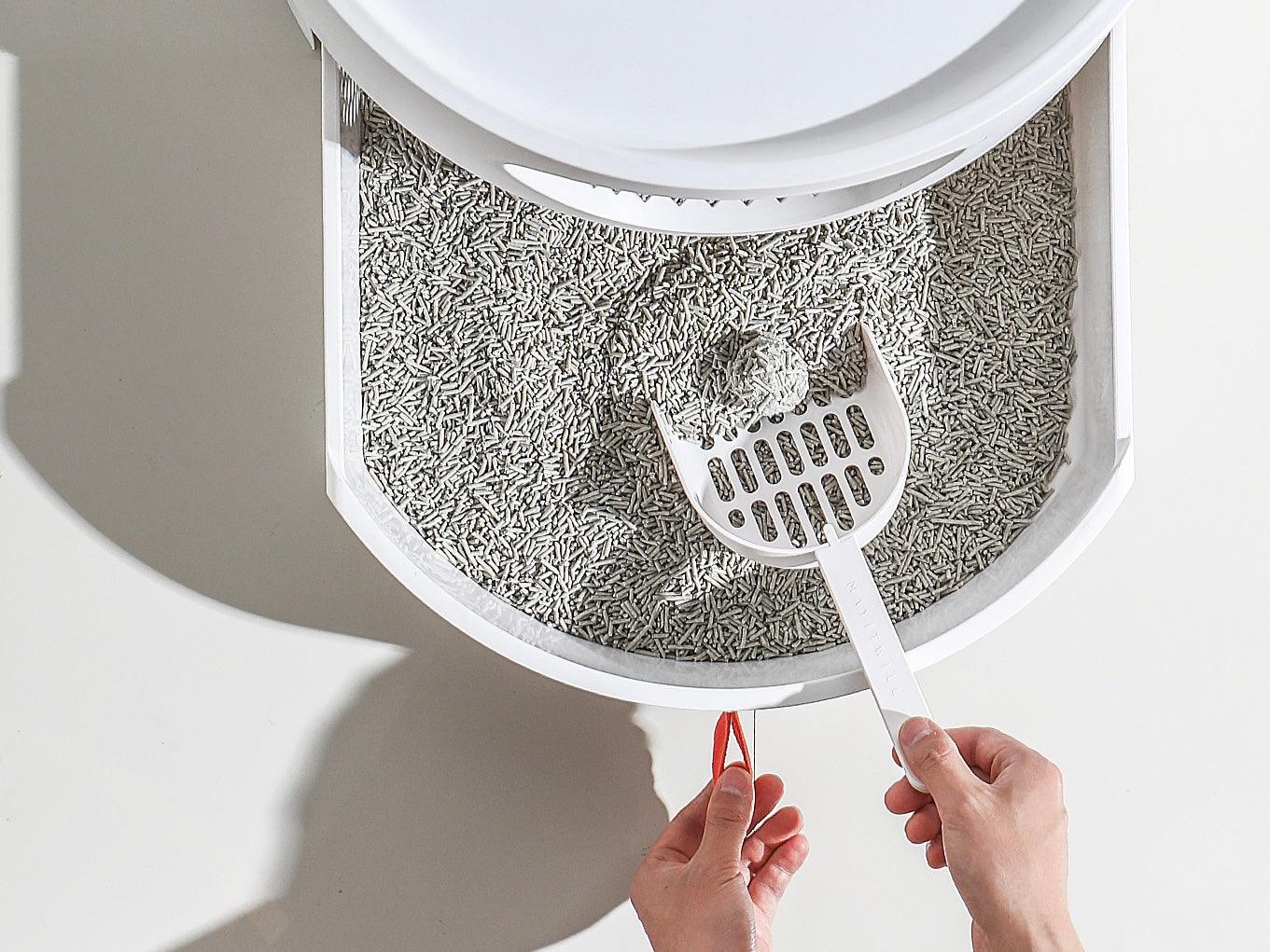 How to help your cat transition to a new litter? MichuPet