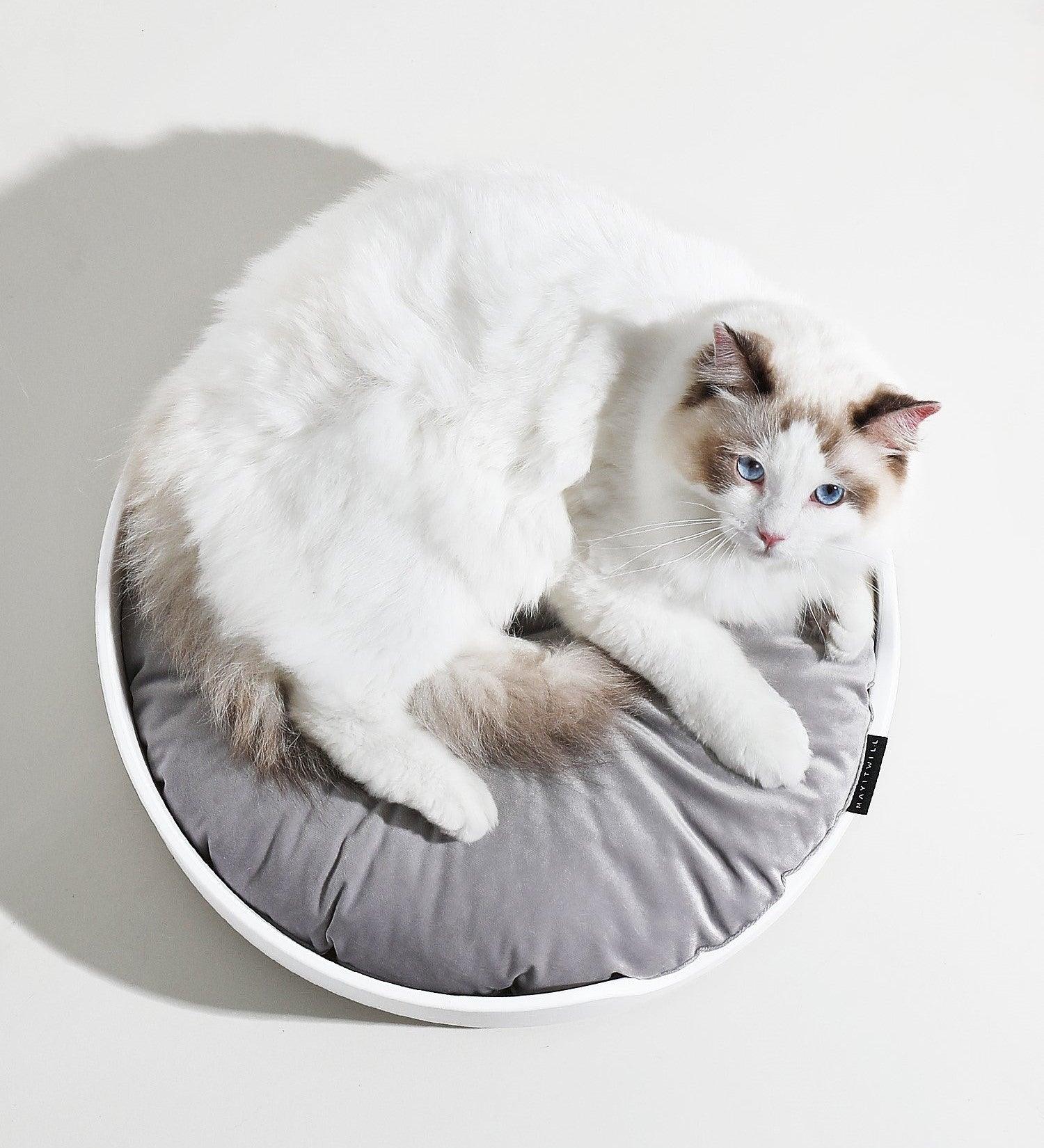 Washable Durable Cat Bed Perfect Comfort for Your Pet