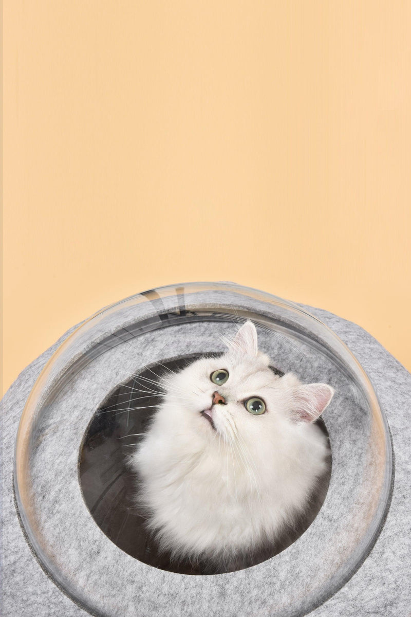 Space Capsule Cat Bed - Cozy & Stylish Hideaway For Your Cat