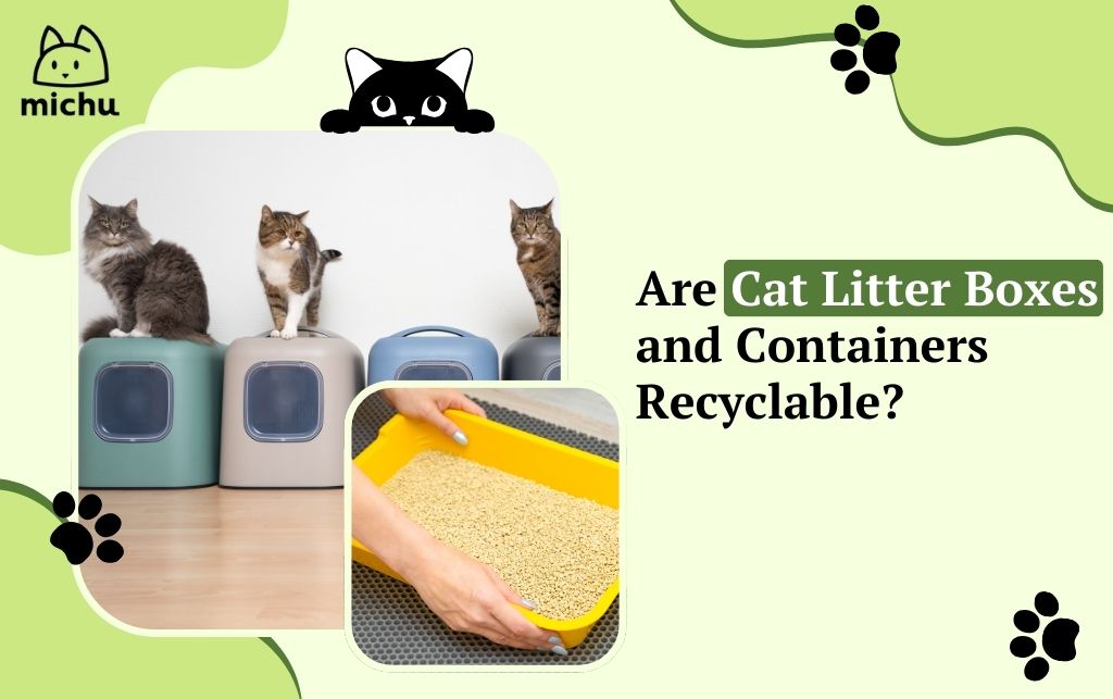 Are_Cat_Litter_Boxes_and_Containers_Recyclable
