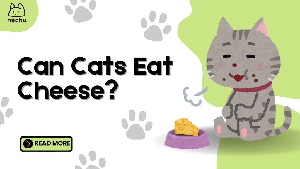 Illustration of a happy gray cat sitting beside a cheese bowl with paw print patterns and text 'Can Cats Eat Cheese?' - Exploring whether cheese is safe for cats in a pet care blog by Michu.