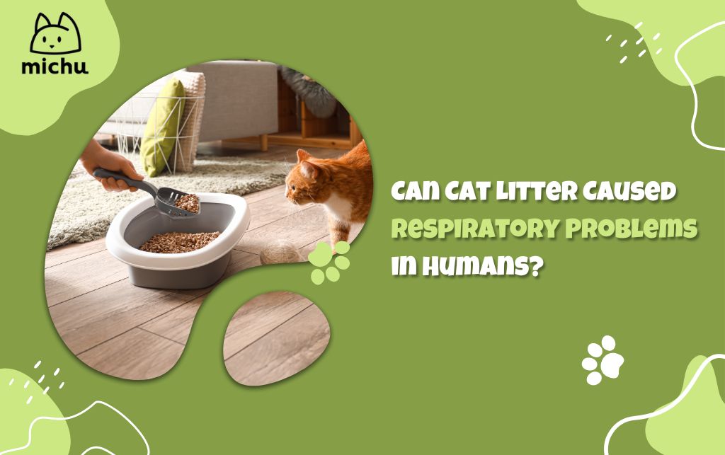 Can Cat Litter Caused Respiratory Problems in Humans?