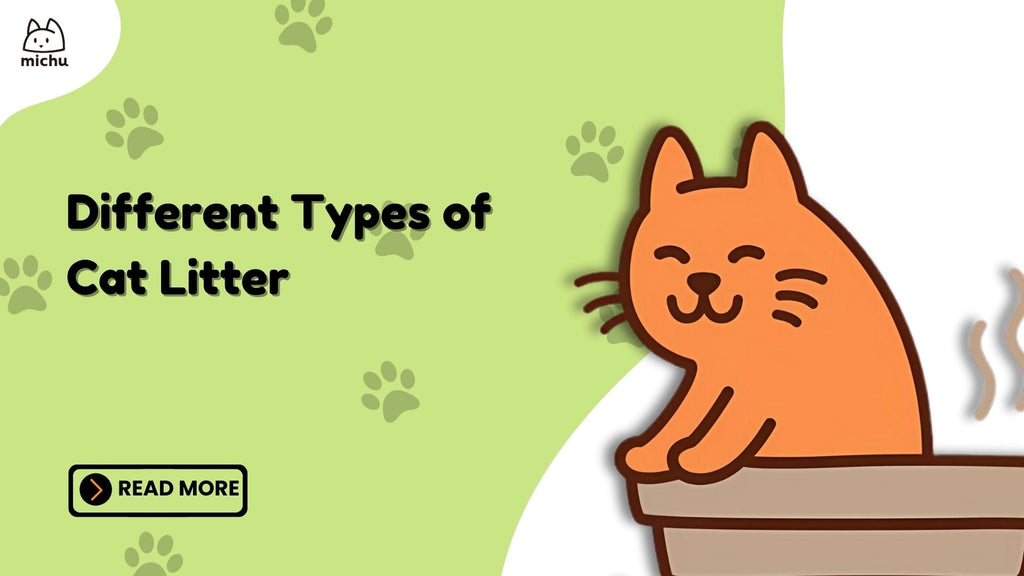 Are you confused about the different types of cat litter?