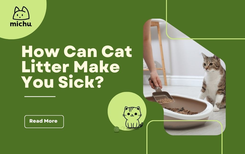 Can Cat Litter Make You Sick? Health Risks and Safe Practices  MichuPet
