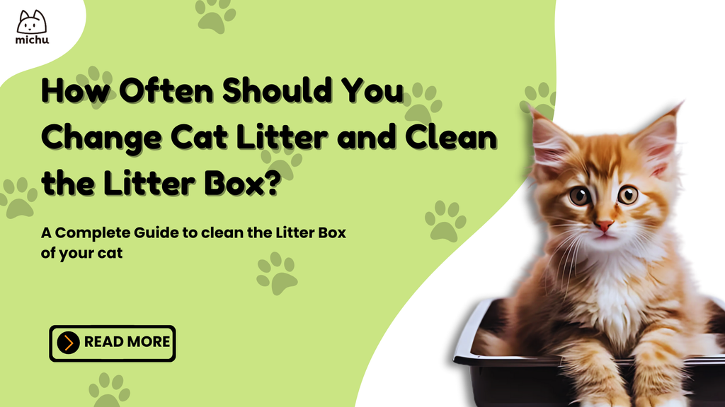 Changing a litter box best sale