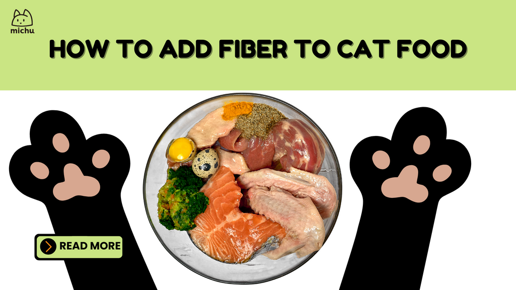 How to Add More Fiber to Your Cat's Food: Boost Digestive Health with Expert Tips