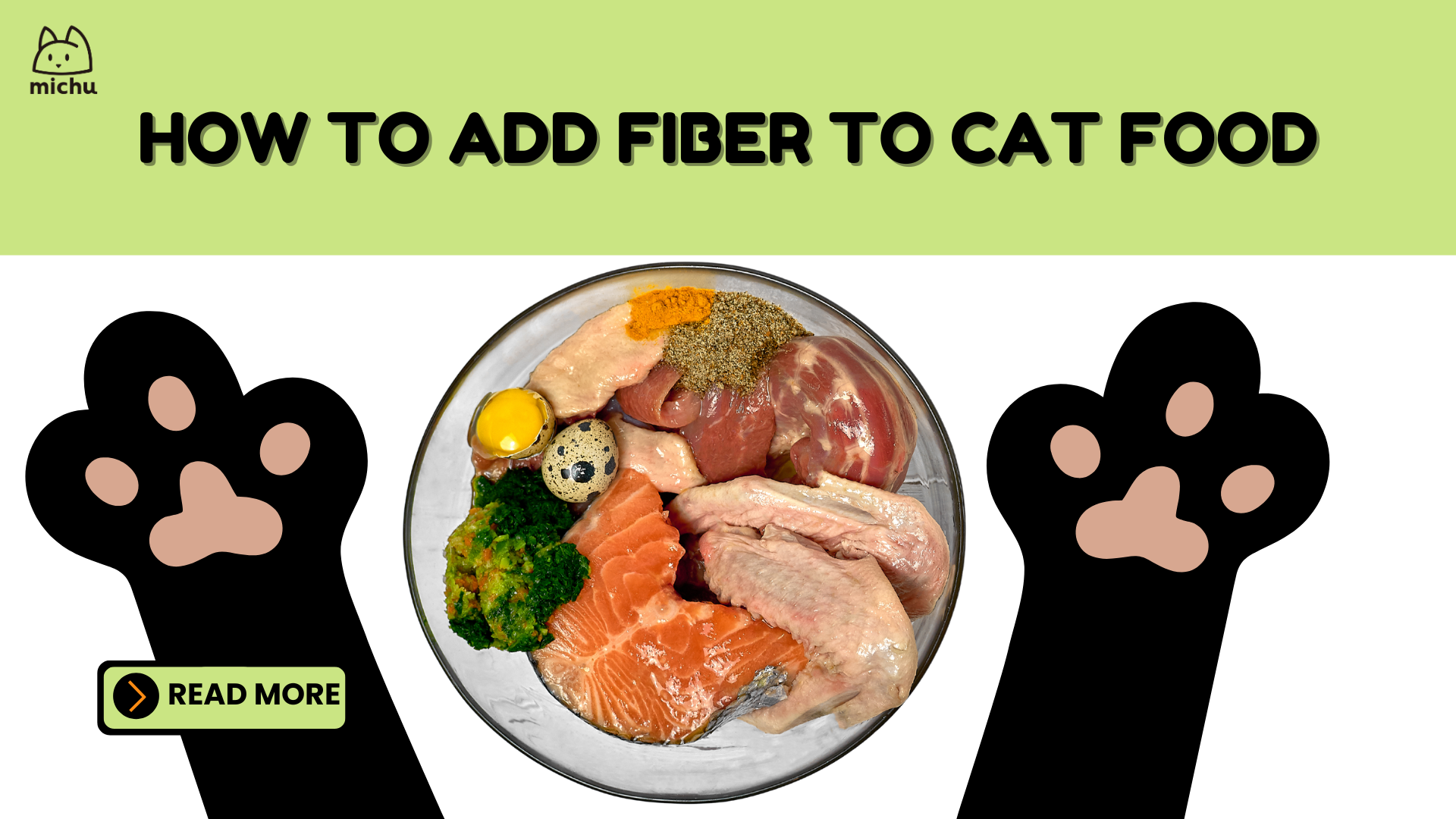 How To Add Fiber To Cat Diet