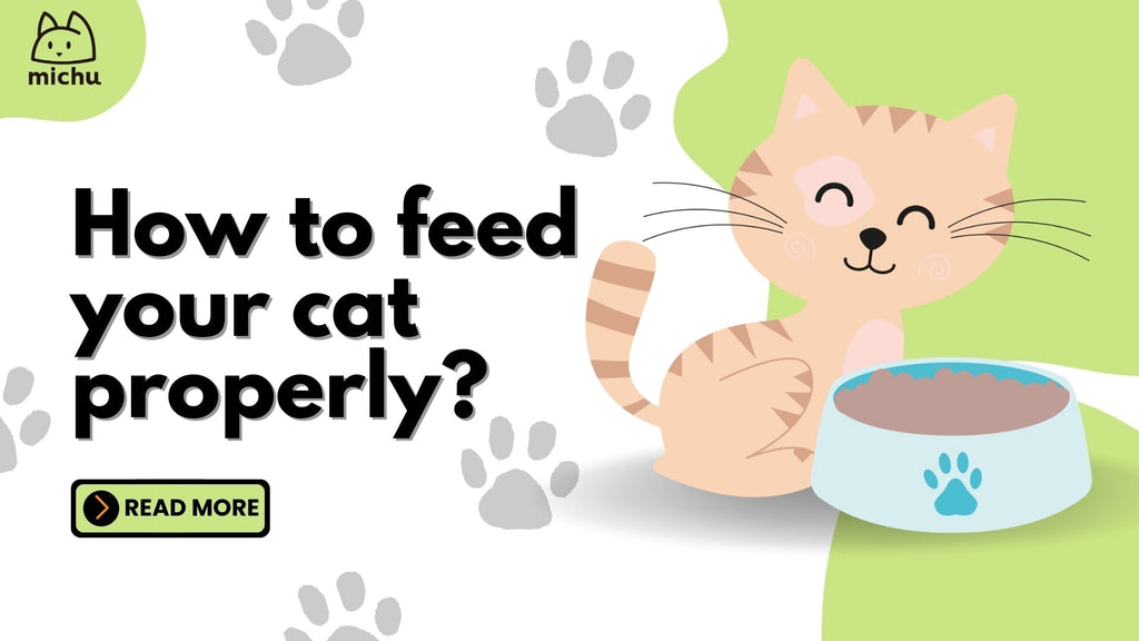 Illustration of a happy cat sitting next to a food bowl, highlighting tips on how to feed your cat properly, including balanced nutrition, feeding schedules, and portion control for optimal health.