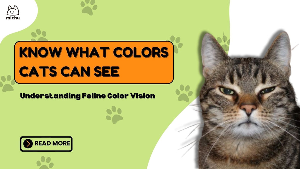 What Colors Can Cats See? - Cat Vision Explained – MichuPet