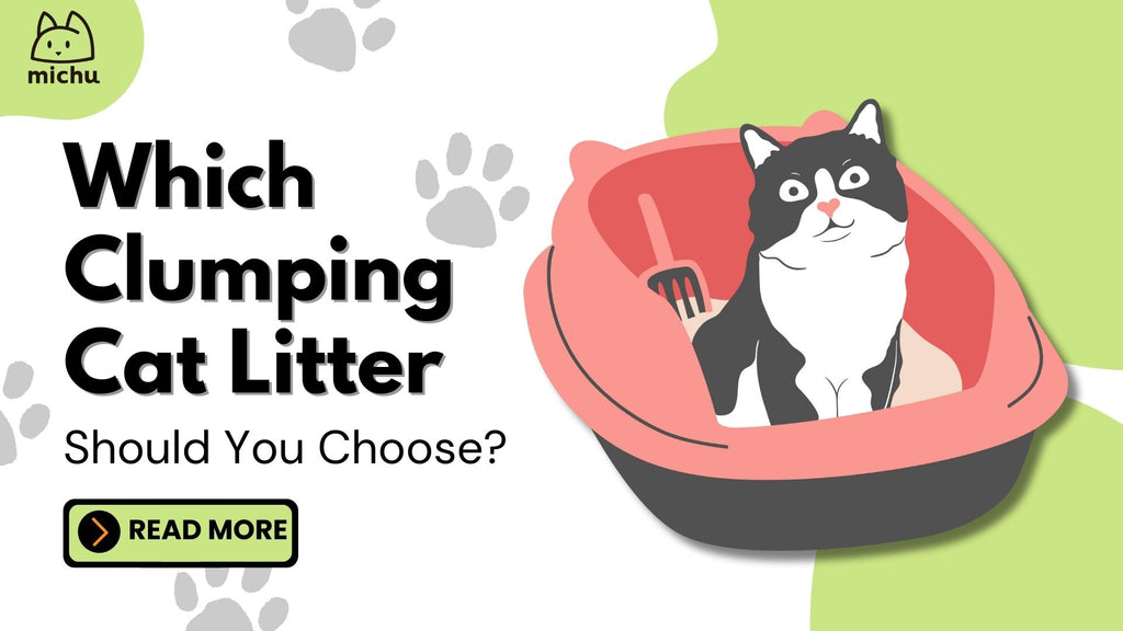 Illustration of a black and white cat sitting in a red litter box with the text 'Which Clumping Cat Litter Should You Choose?' from Michu, featuring a green background with paw prints.