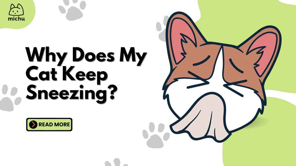 Why Does My Cat Keep Sneezing?