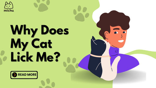 Illustration of a smiling person with their cat licking them, highlighting the question 'Why does my cat lick me?' with a playful green background and paw prints, promoting an informative blog about feline behavior and bonding.