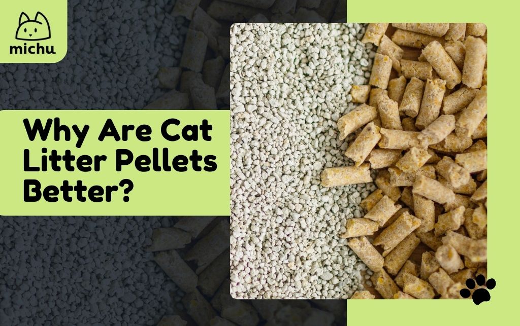Why_are_Cat_Litter_Pellets_Better