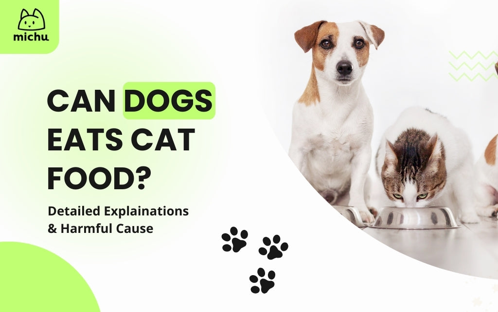 Dog Nutrition Is Cat Food Harmful For Dogs Nutrition Why Is It Bad