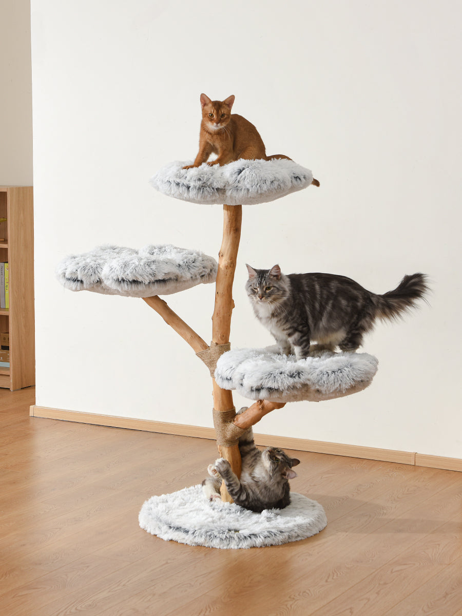 Why Choose Natural Wood Cat Tree? 