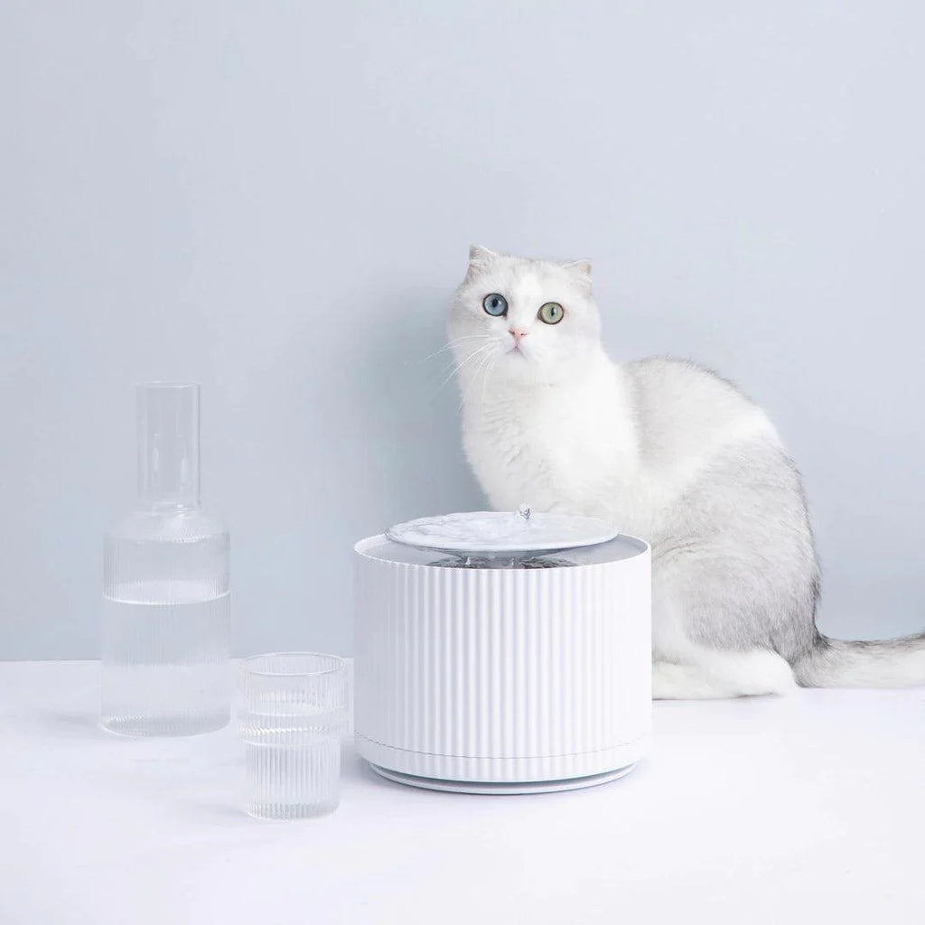 How To Choose the Right Cat Fountain - MichuPet