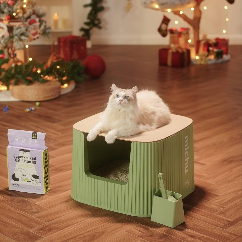 Cat Litter Box With Lid