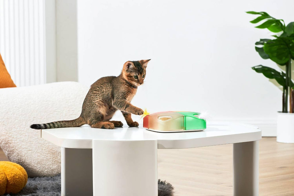 Michu Interactive Feathered Rechargeable Cat Toy Box - MichuPet