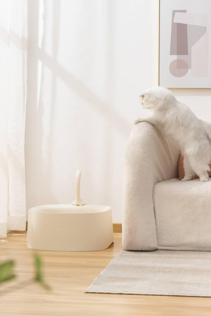Michu Macaron High Edge Cream White Open Style Extra Large Cat Litter Box Designed by MEOOF XL - MichuPet