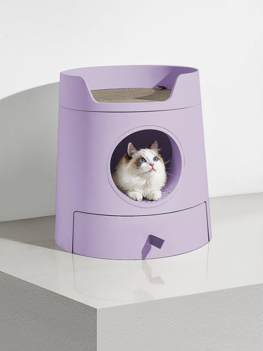 Can Cat Litter Make You Sick? Health Risks and Safe Practices  MichuPet